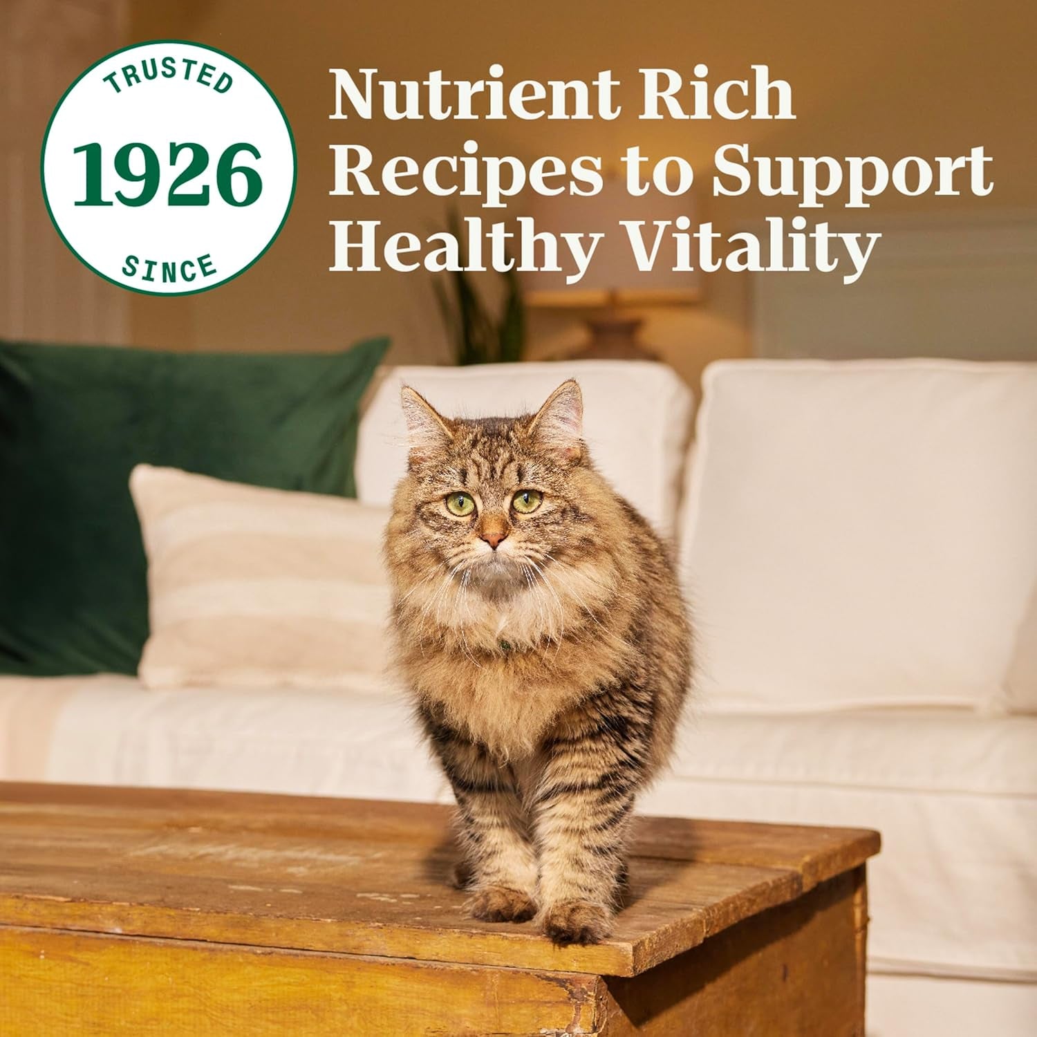 Wholesome Essentials Adult Dry Cat Food, Chicken & Brown Rice Recipe, 5 Lb. Bag