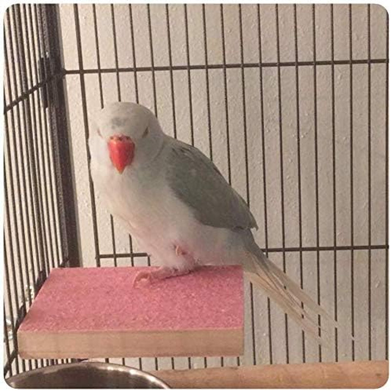 Colorful Bird Perch Stand Platform Natural Wood Playground Paw Grinding Clean for Pet Parrot Budgies Parakeet Cockatiels Conure Lovebirds Rat Mouse Cage Accessories Exercise Toys