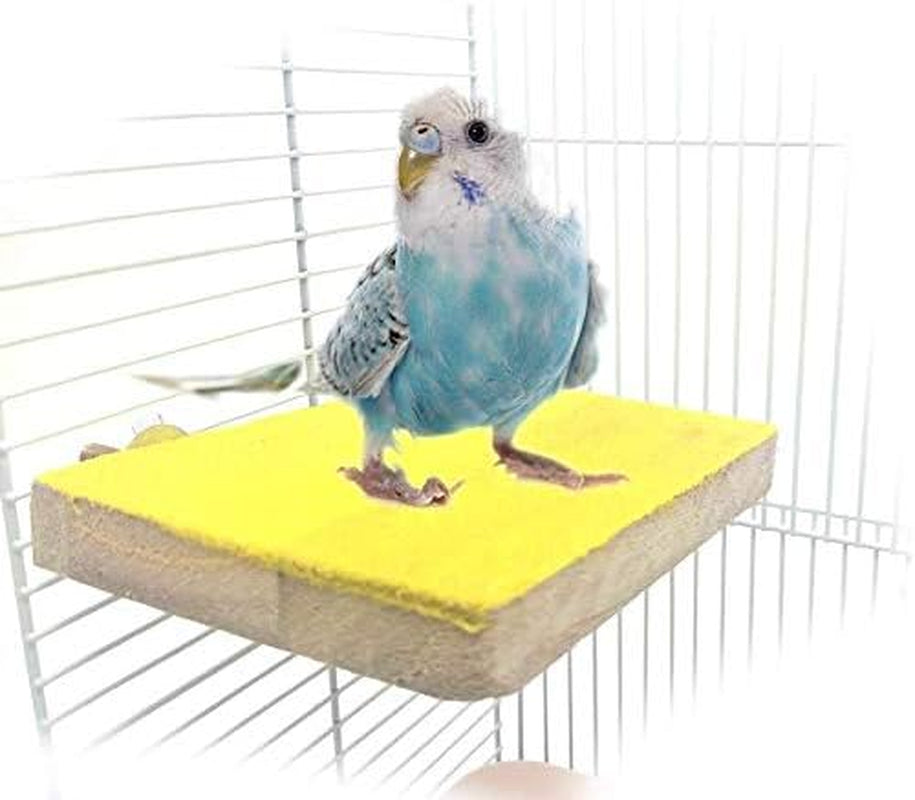 Colorful Bird Perch Stand Platform Natural Wood Playground Paw Grinding Clean for Pet Parrot Budgies Parakeet Cockatiels Conure Lovebirds Rat Mouse Cage Accessories Exercise Toys