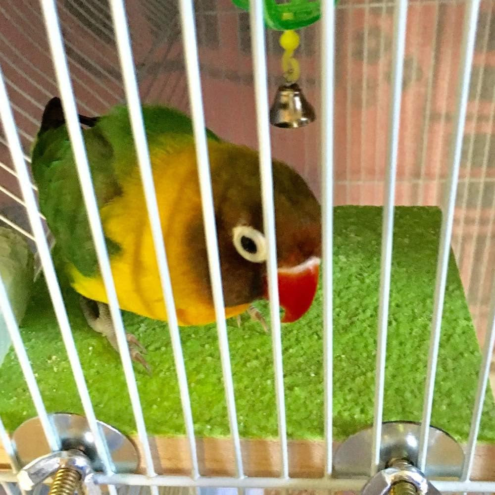 Colorful Bird Perch Stand Platform Natural Wood Playground Paw Grinding Clean for Pet Parrot Budgies Parakeet Cockatiels Conure Lovebirds Rat Mouse Cage Accessories Exercise Toys (Green & Purple)