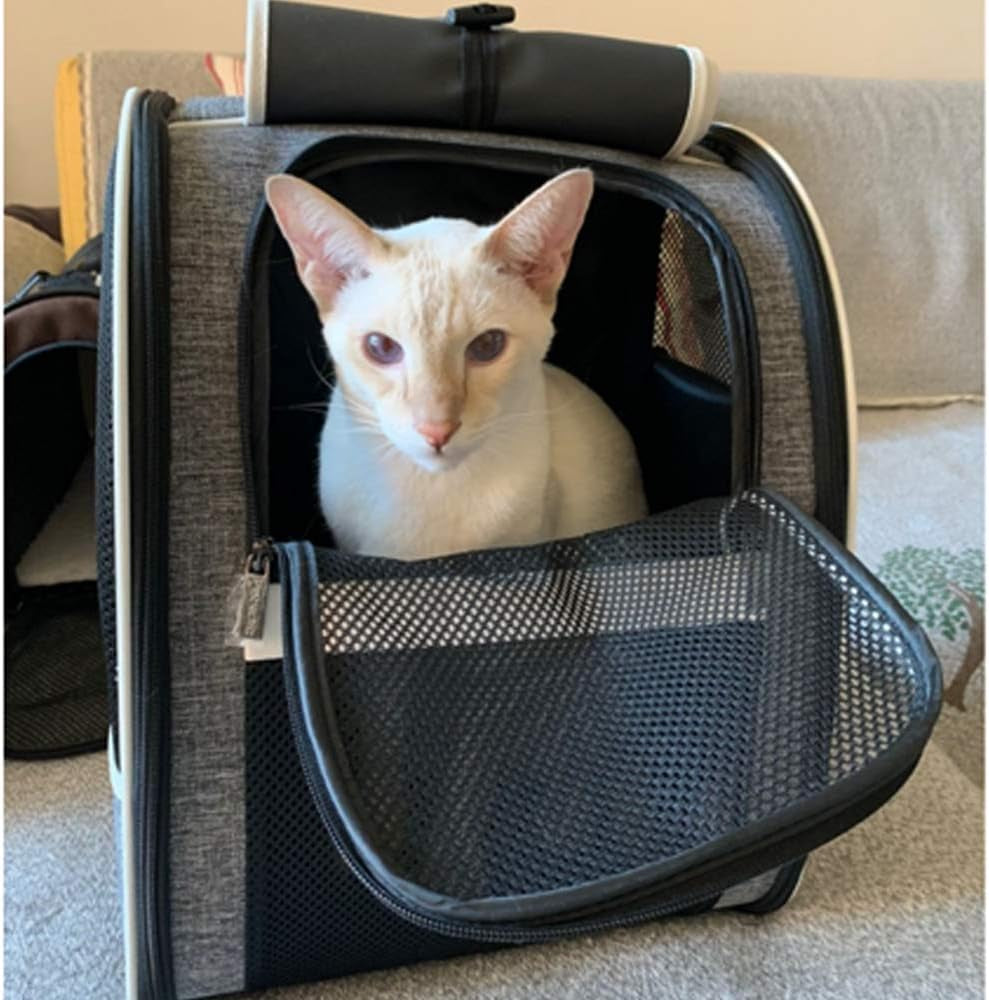 Pet Carrier Backpack with Window Blind for Small Cats Dogs, Ventilated Design, Safety Straps, Buckle Support, Collapsible, Designed for Travel, Hiking, Winter Outing, Outdoor, Go to Vet